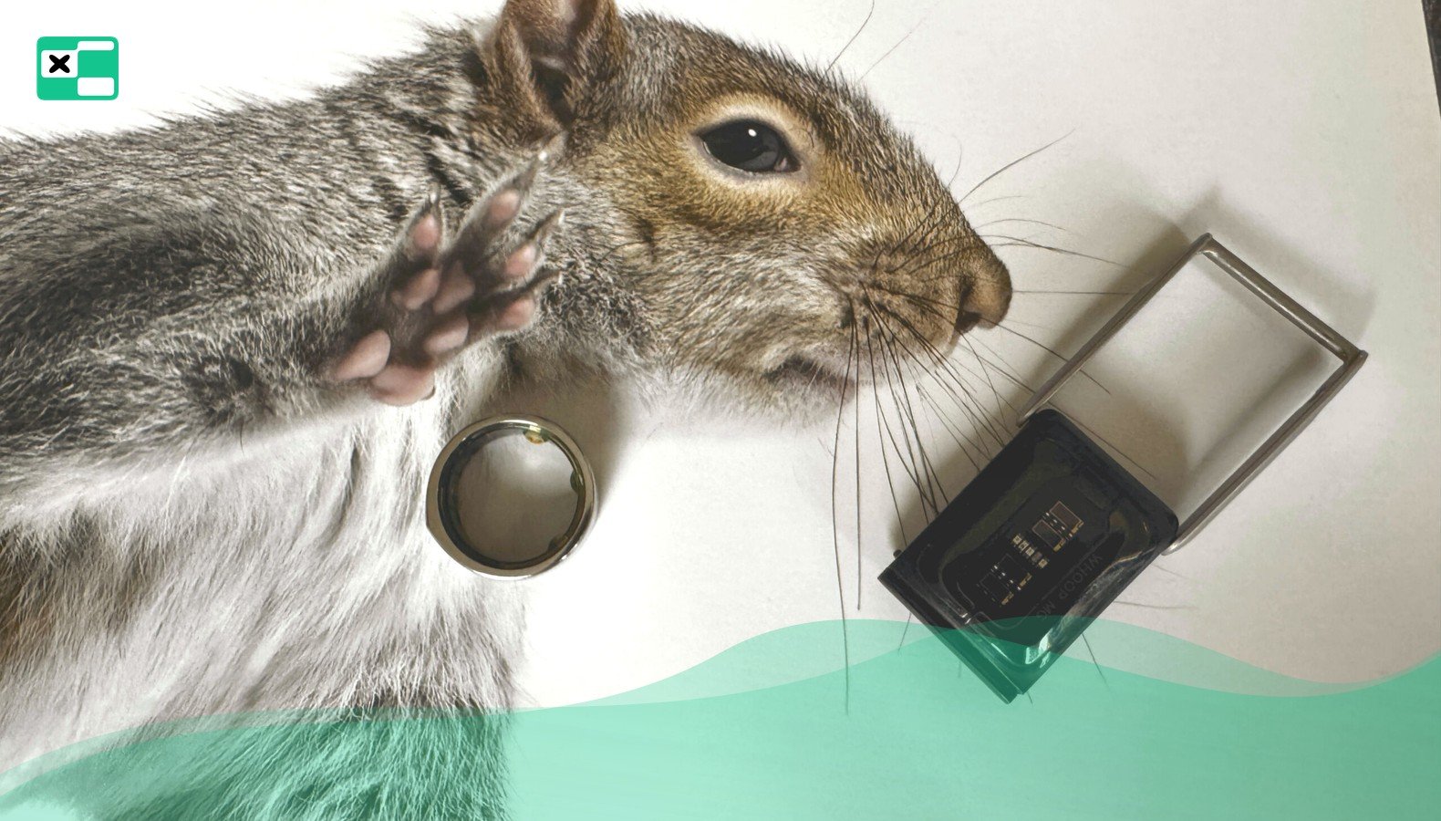 Whoop: debiut na giełdzie i monitoring glukozy