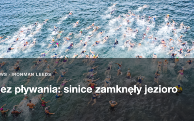 Masowy start plywacki widziany z gory, dziesiatki zawodnikow w wodzie