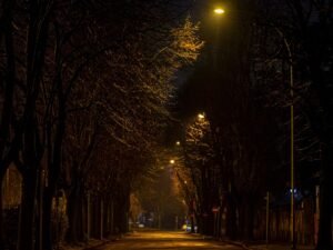 Aleja drzew i ulica nocą w świetle latarni