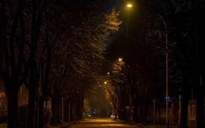 Aleja drzew i ulica nocą w świetle latarni