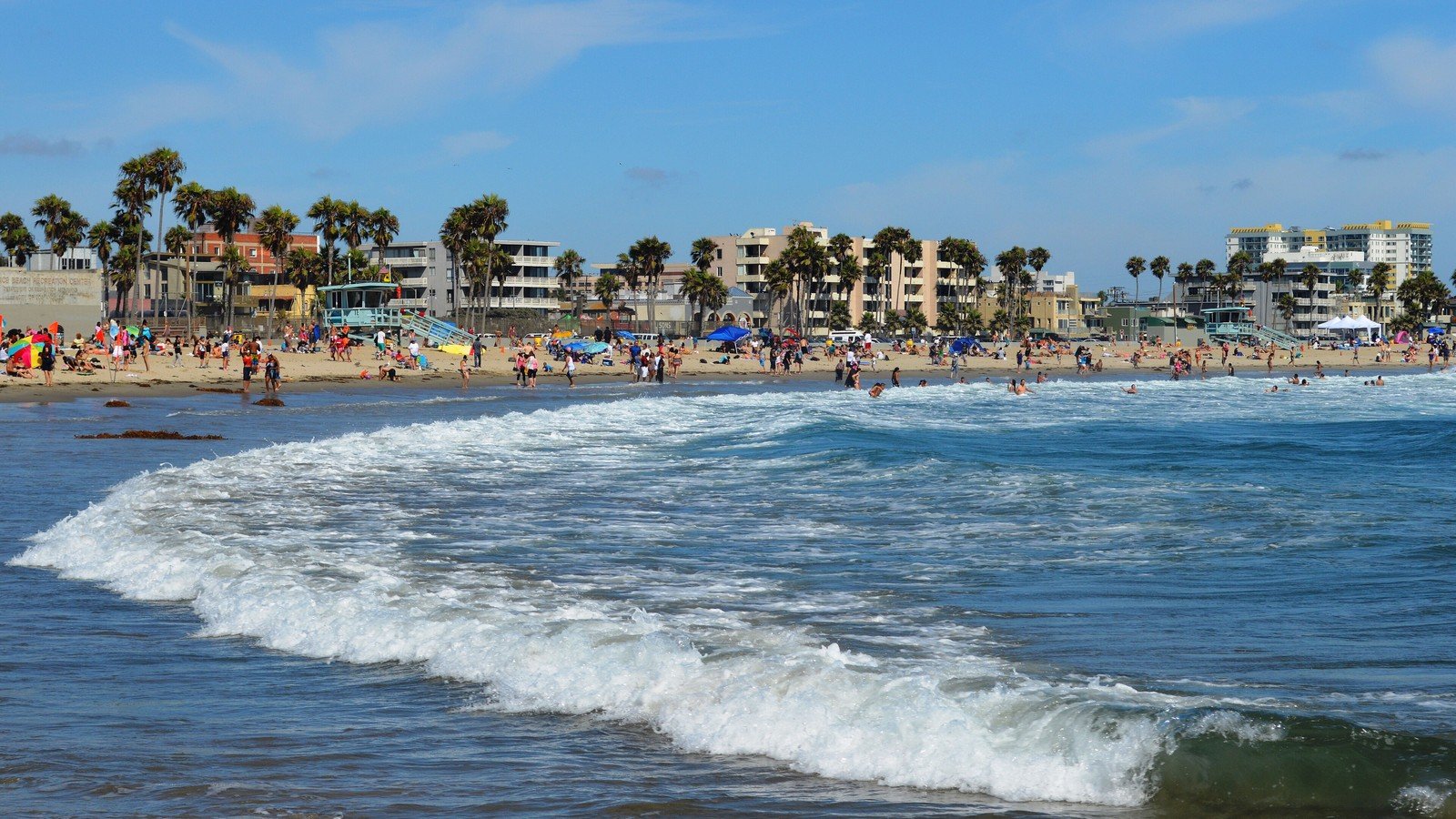 Plaża i fale w Venice Beach w Los Angeles